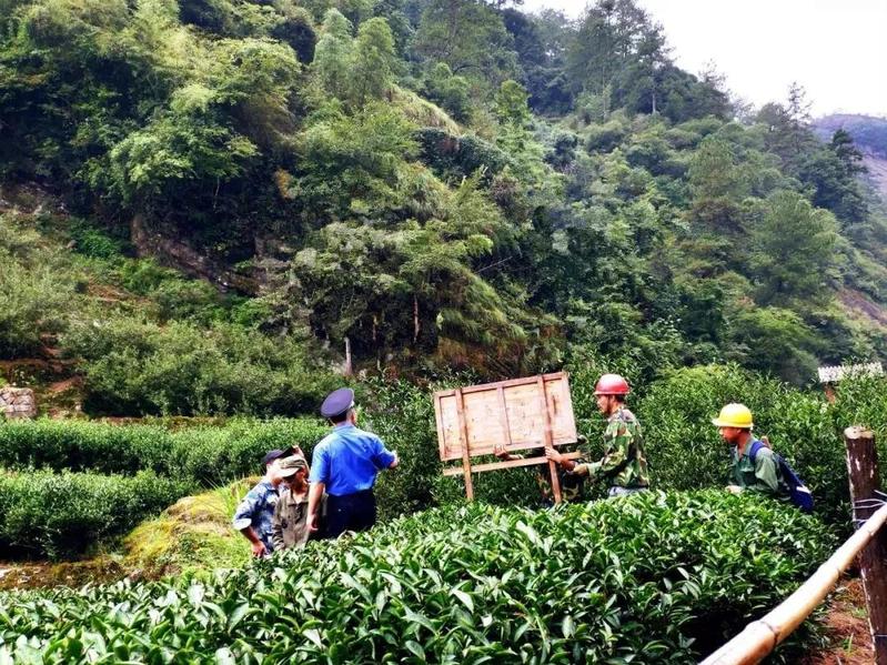 牛栏坑、岩骨花香漫游道广告牌全...