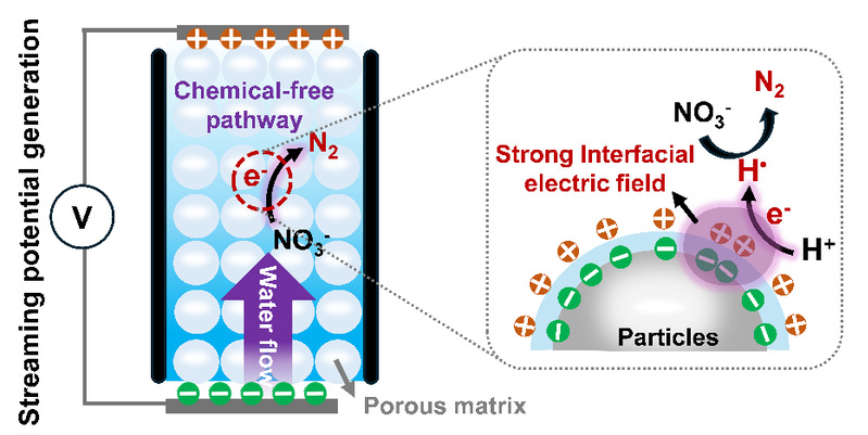 我院土壤健康与调控团队黄绍福博...