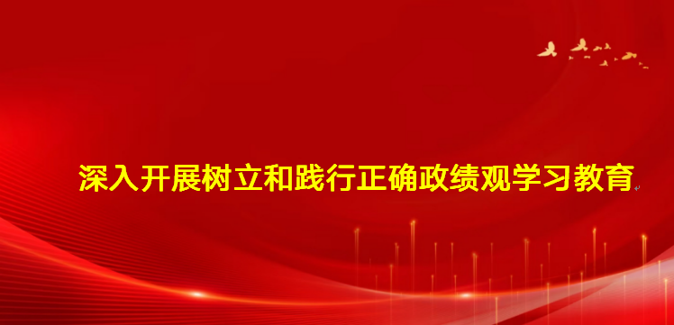 深入开展树立和践行正确政绩观学...