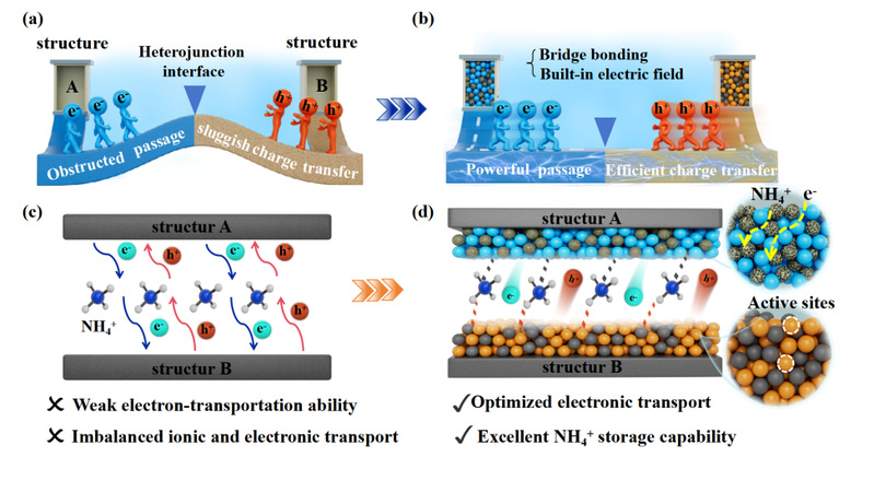 我院徐晶副教授团队在铵离子储能...